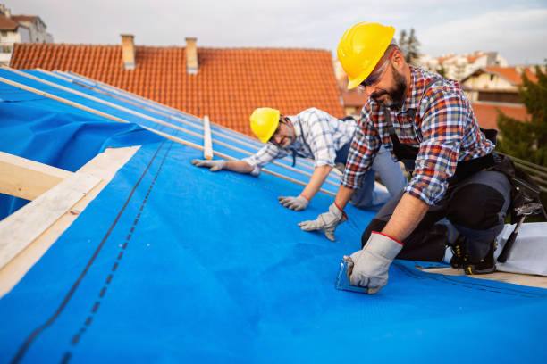 Best Local Roofing Companies  in Stanley, WI