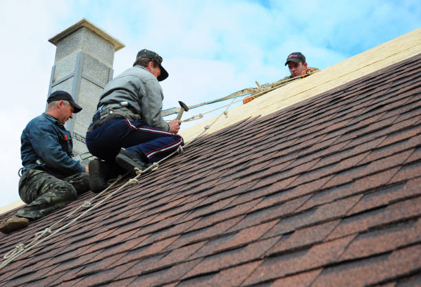 Roof Gutter Cleaning