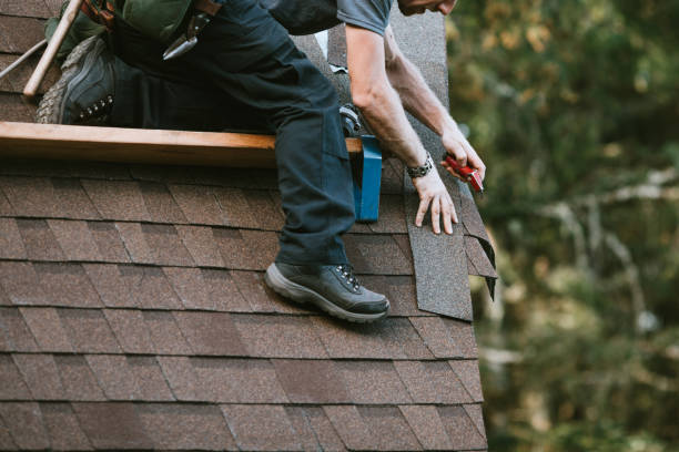 Best Roof Gutter Cleaning  in Stanley, WI